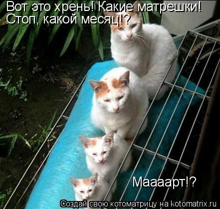 Вот это хрень! Какие матрешки! Стоп, какой месяц!? Маааарт!?... Котоматрица: Вот это хрень! Какие матрешки! Стоп, какой месяц!? Маааарт!?