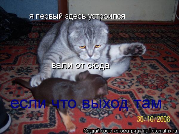 вали от сюда я первый здесь устроился если что выход там... Котоматрица: вали от сюда я первый здесь устроился если что выход там