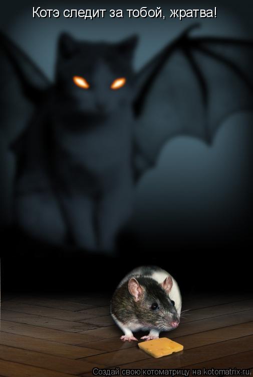 Котоматрица: Котэ следит за тобой, жратва!