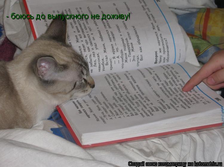 - боюсь до выпускного не доживу!... Котоматрица: - боюсь до выпускного не доживу!