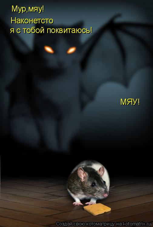 Котоматрица: Мур,мяу! Наконетсто я с тобой поквитаюсь! МЯУ!