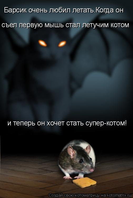 Котоматрица: Барсик очень любил летать.Когда он съел первую мышь стал летучим котом и теперь он хочет стать супер-котом!