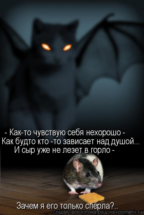 Котоматрица: - Как-то чувствую себя нехорошо -  Как будто кто -то зависает над душой... И сыр уже не лезет в горло -  Зачем я его только спёрла?..