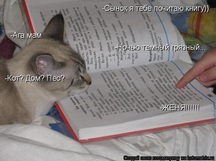 Котоматрица: -Сынок я тебе почитаю книгу)) -Ага мам -Ночью тёмный грязный... -Кот? Дом? Пёс? -ЖЕНЯ!!!!!!