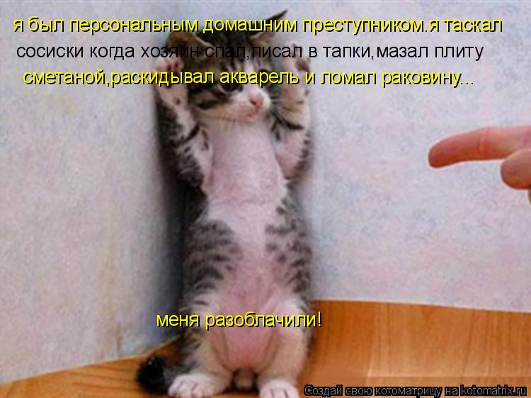 Котоматрица: я был персональным домашним преступником.я таскал  сосиски когда хозяин спал,писал в тапки,мазал плиту сметаной,раскидывал акварель и лома