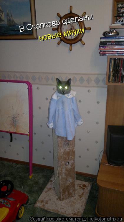 Котоматрица: В Сколково сделаны  новые мяуки