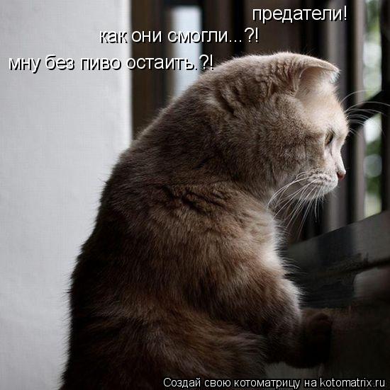 Котоматрица: предатели!  как они смогли...?!   мну без пиво остаить.?!
