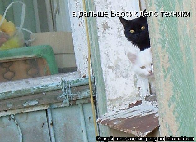 Котоматрица: а дальше Барсик дело техники