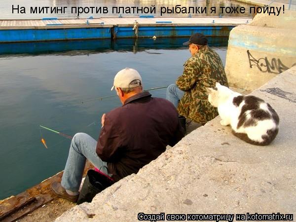 Котоматрица: На митинг против платной рыбалки я тоже пойду!