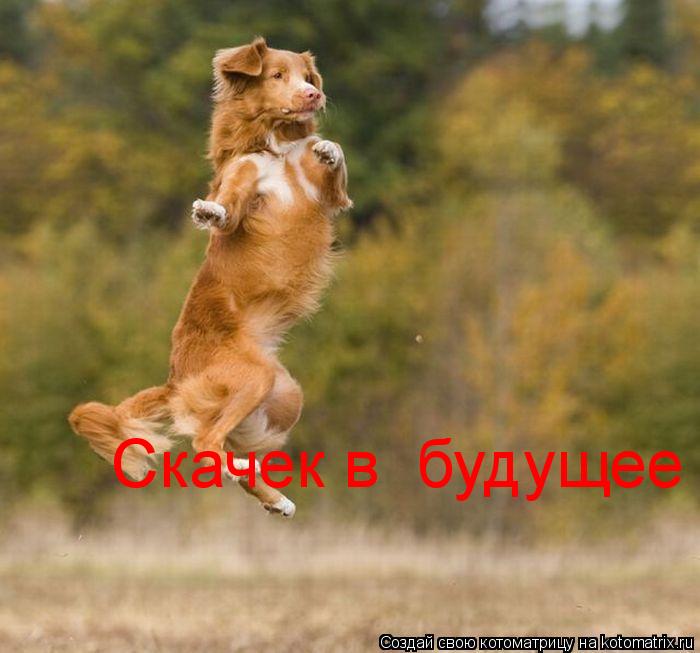 Котоматрица: Скачек в  будущее