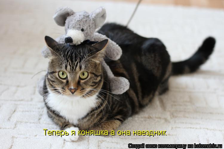 Котоматрица: Теперь я коняшка а она наездник