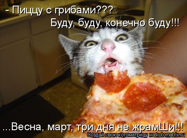 Котоматрица: - Пиццу с грибами??? Буду, буду, конечно буду!!! ...Весна, март, три дня не жрамШи!!!