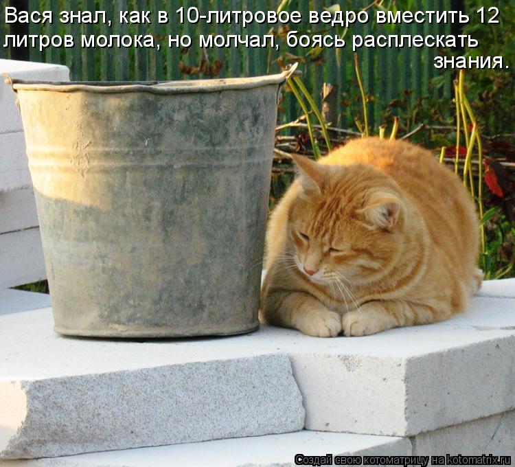 Вася знал, как в 10-литровое ведро вместить 12 литров молока, но молчал, боясь расплескать знания.... Котоматрица: Вася знал, как в 10-литровое ведро вместить 12 литров молока, но молчал, боясь расплескать знания.