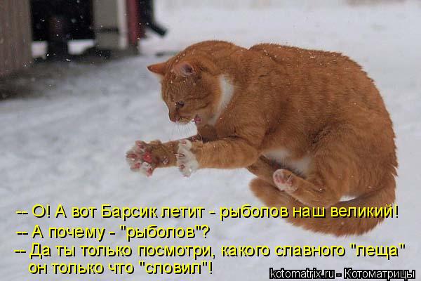 Котоматрица: -- О! А вот Барсик летит - рыболов наш великий! -- А почему - "рыболов"? -- Да ты только посмотри, какого славного "леща"  он только что "словил"!
