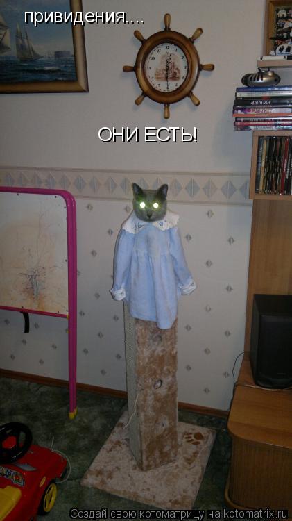 Котоматрица: привидения.... ОНИ ЕСТЬ!