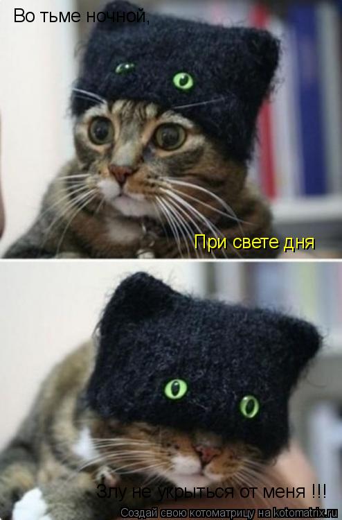 Котоматрица: Во тьме ночной, При свете дня Злу не укрыться от меня !!!