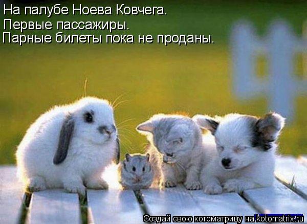 Котоматрица: На палубе Ноева Ковчега. Первые пассажиры. Парные билеты пока не проданы.