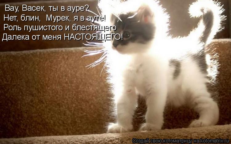 Котоматрица: Вау, Васек, ты в ауре? Нет, блин,  Мурек, я в ауте! Роль пушистого и блестящего Далека от меня НАСТОЯЩЕГО!