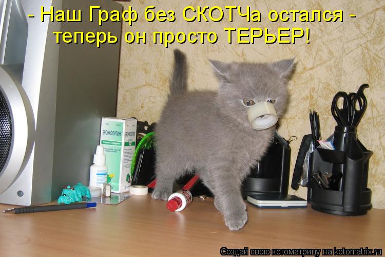 - Наш Граф без СКОТЧа остался - теперь он просто ТЕРЬЕР!... Котоматрица: - Наш Граф без СКОТЧа остался - теперь он просто ТЕРЬЕР!