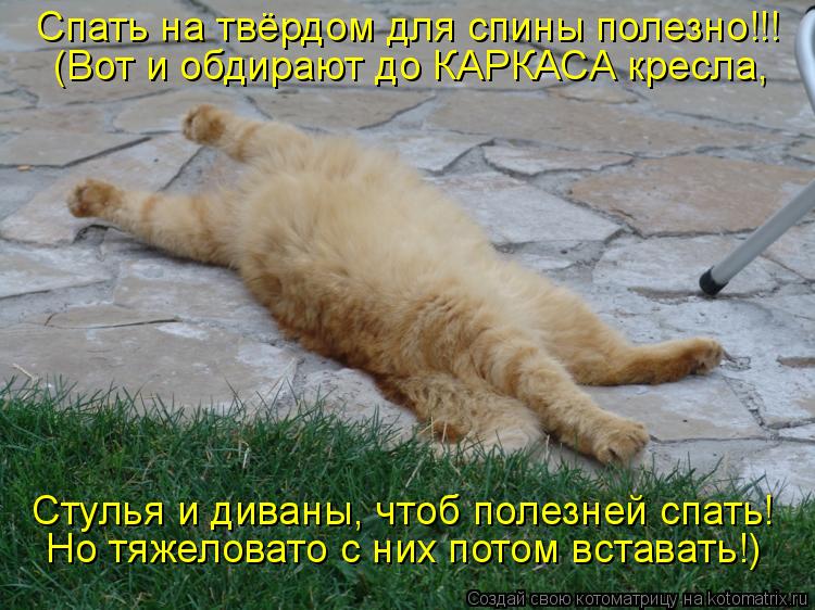 Котоматрица: Спать на твёрдом для спины полезно!!! (Вот и обдирают до КАРКАСА кресла, Стулья и диваны, чтоб полезней спать! Но тяжеловато с них потом встав