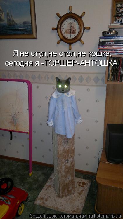 Котоматрица: Я не стул,не стол,не кошка, сегодня я -ТОРШЕР-АНТОШКА!