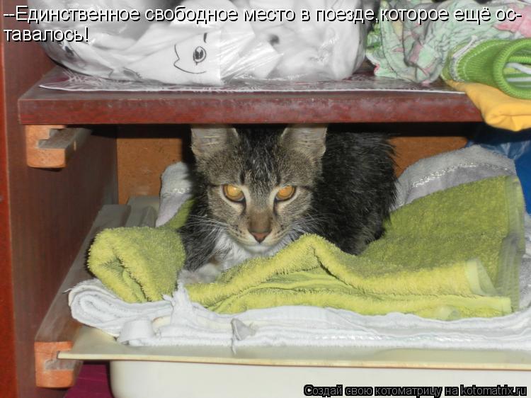 Котоматрица: --Единственное свободное место в поезде,которое ещё ос- тавалось!