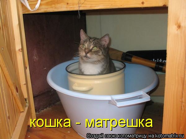 Котоматрица: кошка - матрешка