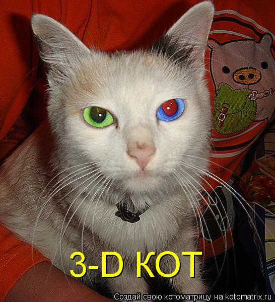 Котоматрица: 3-D КОТ