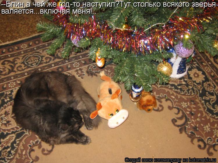 Котоматрица: --Блин,а чей же год-то наступил?Тут столько всякого зверья валяется...включая меня!..