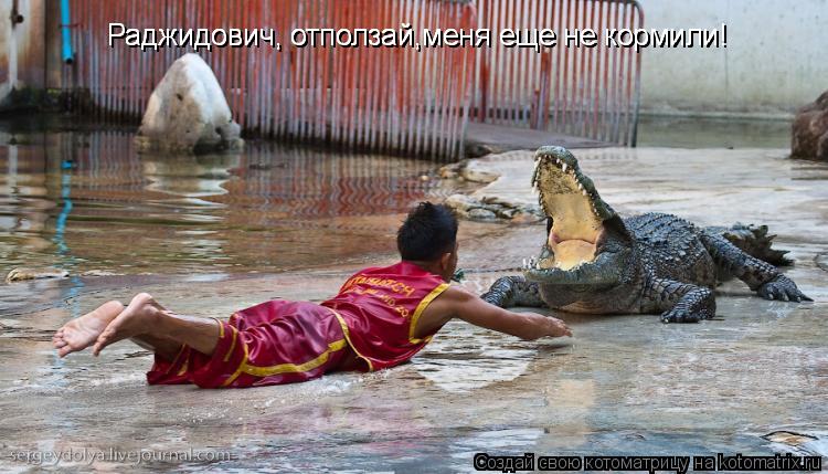 Котоматрица: Раджидович, отползай,меня еще не кормили! Раджидович, отползай,меня еще не кормили! Раджидович, отползай,меня еще не кормили!