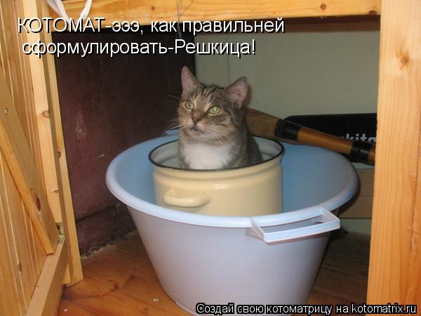 Котоматрица: КОТОМАТ-эээ, как правильней  сформулировать-Решкица!