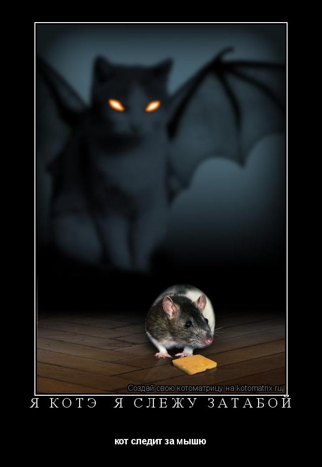 Котоматрица: я КоТэ  я слежу затабой кот следит за мышю
