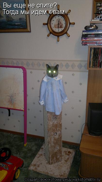 Котоматрица: Вы еще не спите? Тогда мы идем к вам...