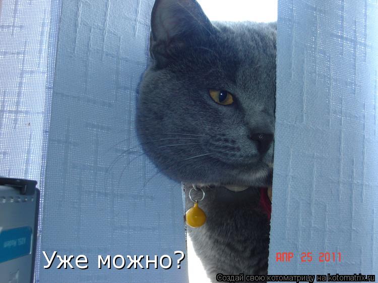 Котоматрица: Уже можно?
