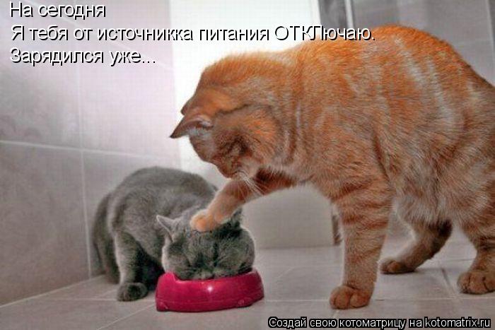 Котоматрица: На сегодня Я тебя от источникка питания ОТКЛючаю. Зарядился уже...