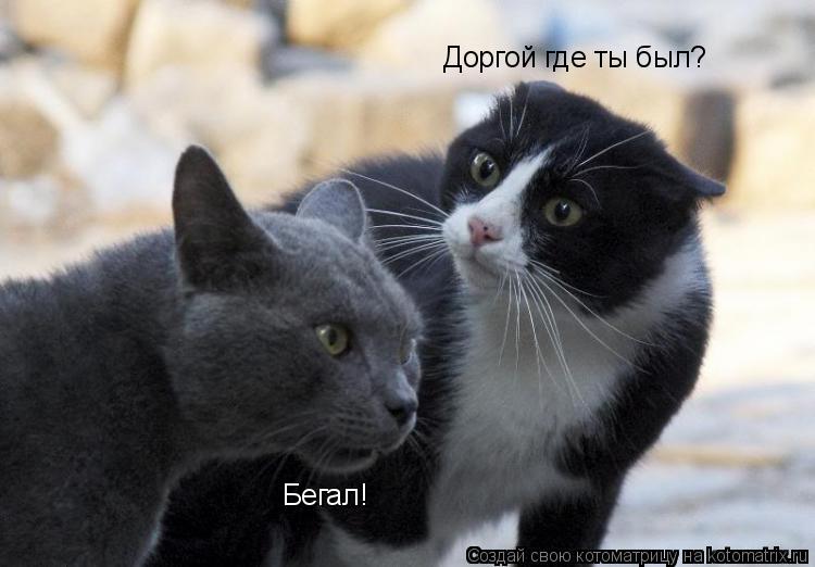 никому не скажу где лови никому не скажу где лови