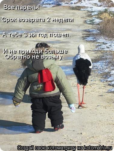 Котоматрица: Все парень! Срок возврата 2 недели А тебе 3 ий год пошел. И не приходи больше Обратно не возьму.