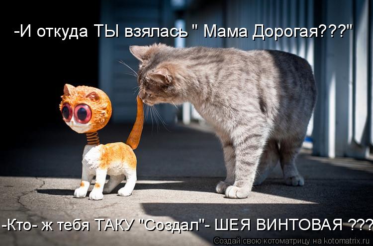 -И откуда ТЫ взялась " Мама Дорогая???" -Кто- ж тебя ТАКУ "Создал"- ШЕЯ ВИНТОВАЯ ???... Котоматрица: -И откуда ТЫ взялась " Мама Дорогая???" -Кто- ж тебя ТАКУ "Создал"- ШЕЯ ВИНТОВАЯ ???