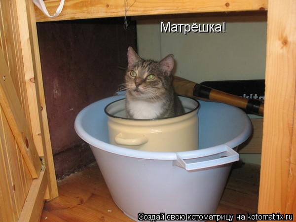 Котоматрица: Матрёшка!