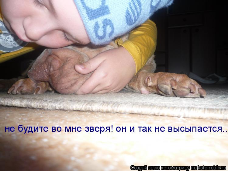 Котоматрица: не будите во мне зверя! он и так не высыпается..