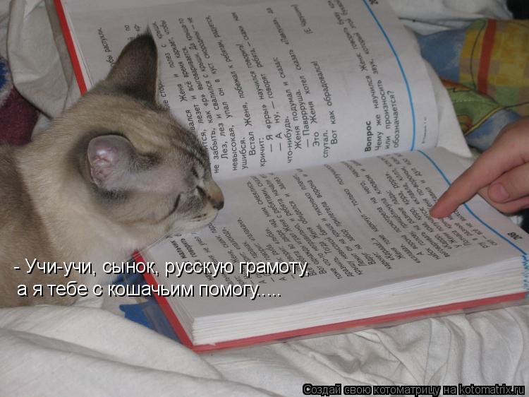 Котоматрица: - Учи-учи, сынок, русскую грамоту, а я тебе с кошачьим помогу.....
