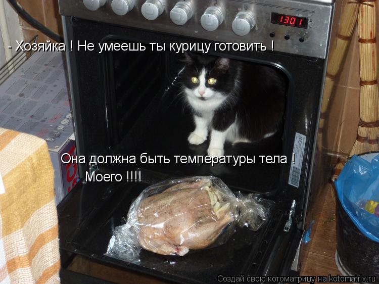Котоматрица: - Хозяйка ! Не умеешь ты курицу готовить ! Она должна быть температуры тела ! Моего !!!!