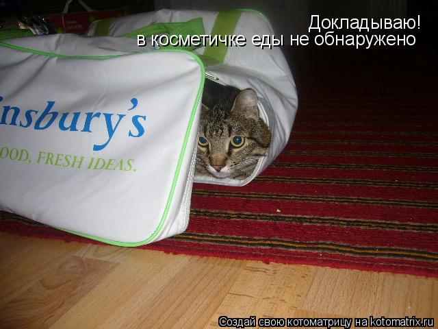 Котоматрица: Докладываю! в косметичке еды не обнаружено