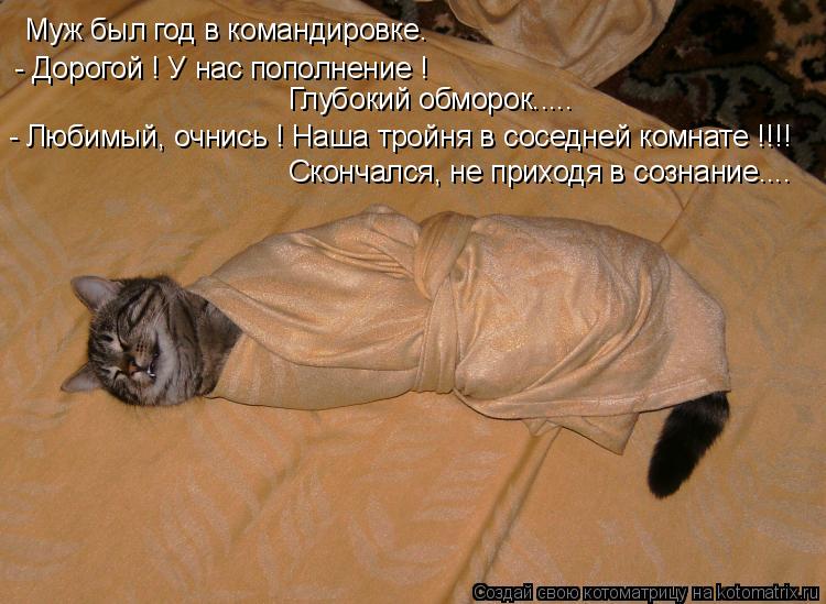 Котоматрица: Муж был год в командировке. - Дорогой ! У нас пополнение ! Глубокий обморок..... - Любимый, очнись ! Наша тройня в соседней комнате !!!! Скончался, 