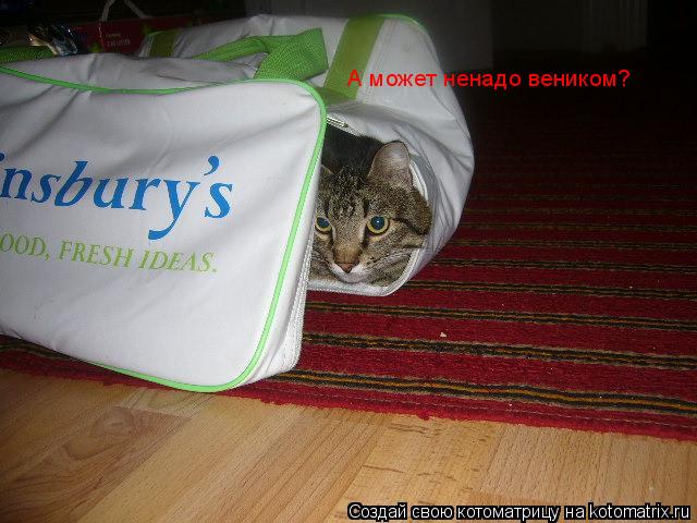 Котоматрица: А может ненадо веником?