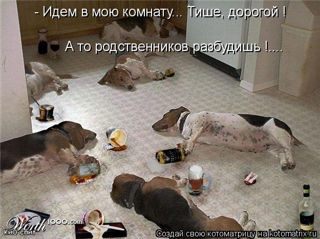 Котоматрица: - Идем в мою комнату... Тише, дорогой ! А то родственников разбудишь !....