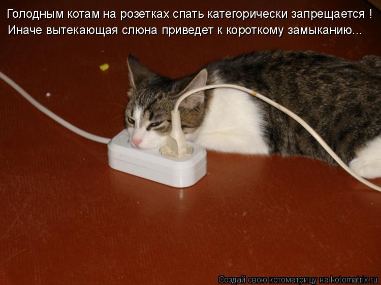 Котоматрица: Голодным котам на розетках спать категорически запрещается ! Иначе вытекающая слюна приведет к короткому замыканию...