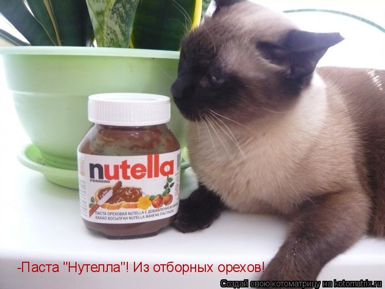 Котоматрица: -Паста "Нутелла"! Из отборных орехов!