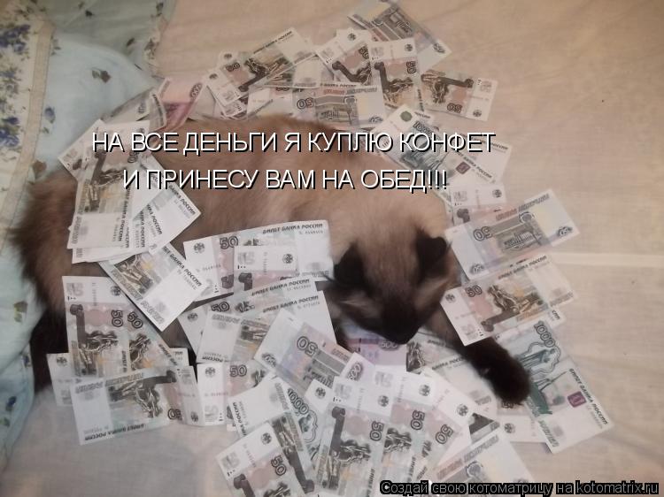 Котоматрица: НА ВСЕ ДЕНЬГИ Я КУПЛЮ КОНФЕТ И ПРИНЕСУ ВАМ НА ОБЕД!!!