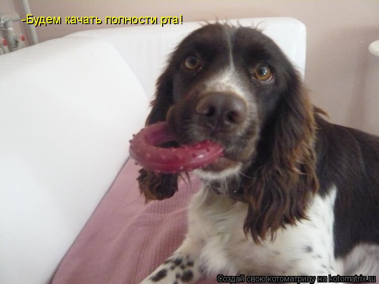 Котоматрица: -Будем качать полности рта!